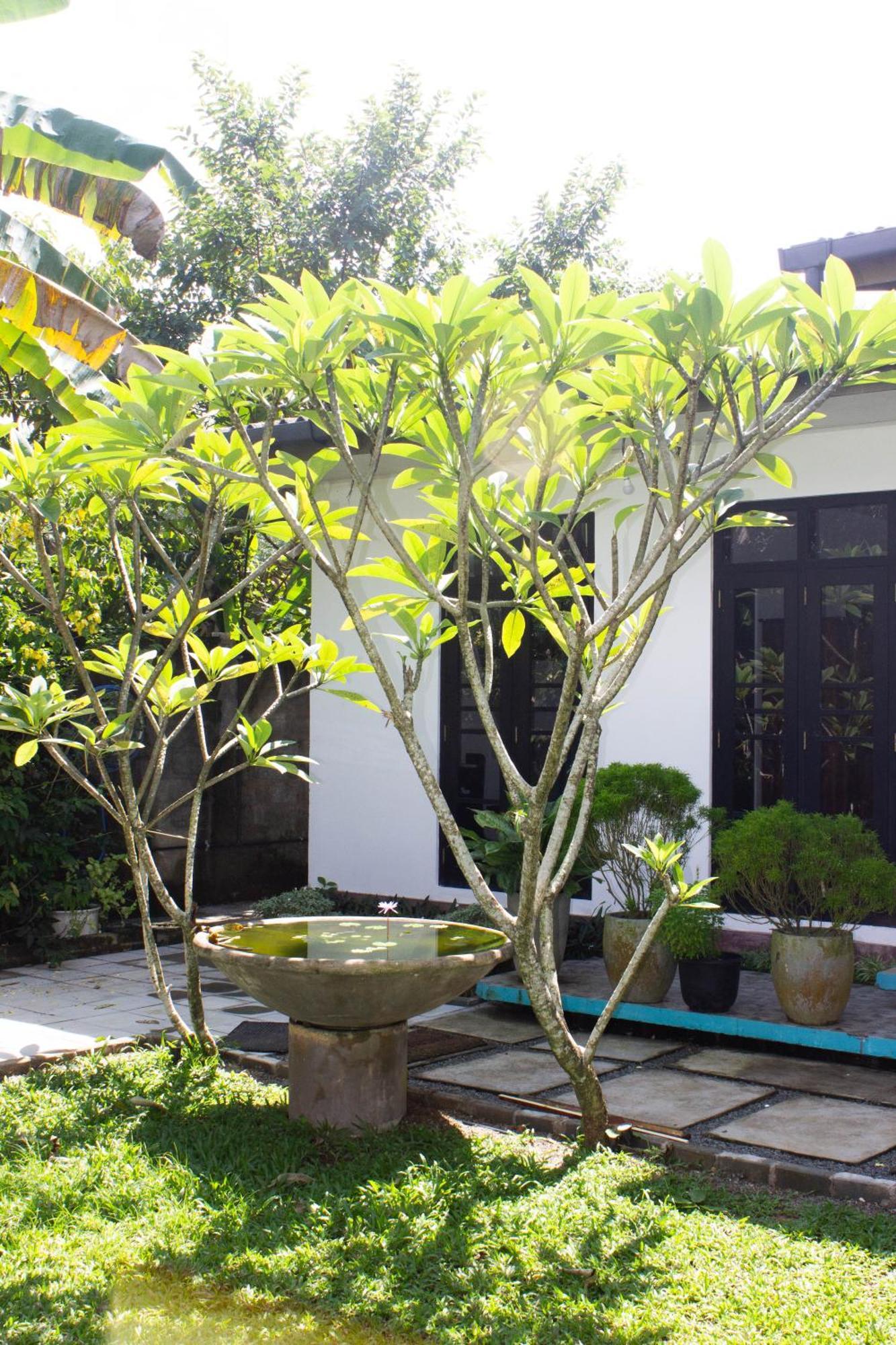 Hotel Uralsurf House Weligama Exterior foto